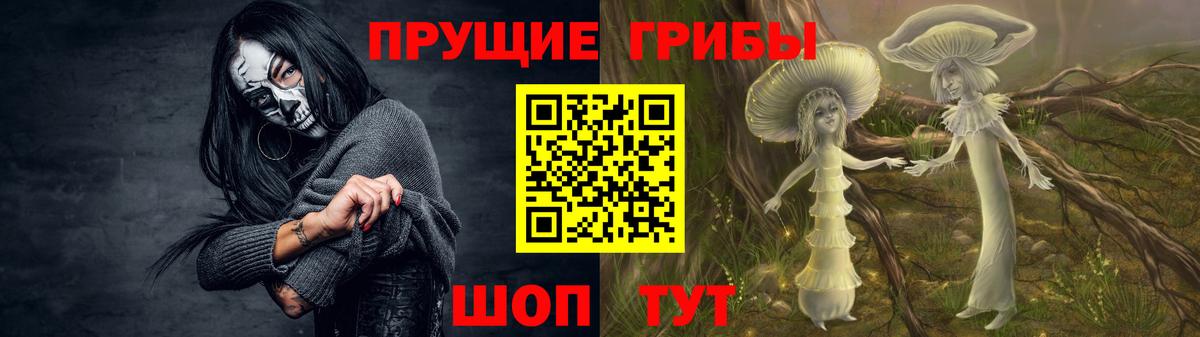 Псилоцибиновые грибы ЛСД  Вход с VPN  купить  цена  Димитровград 